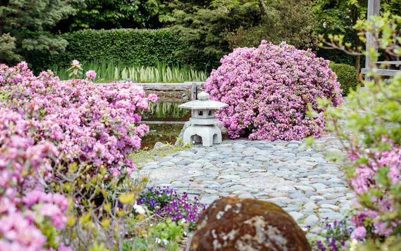 Tranquillity Zone