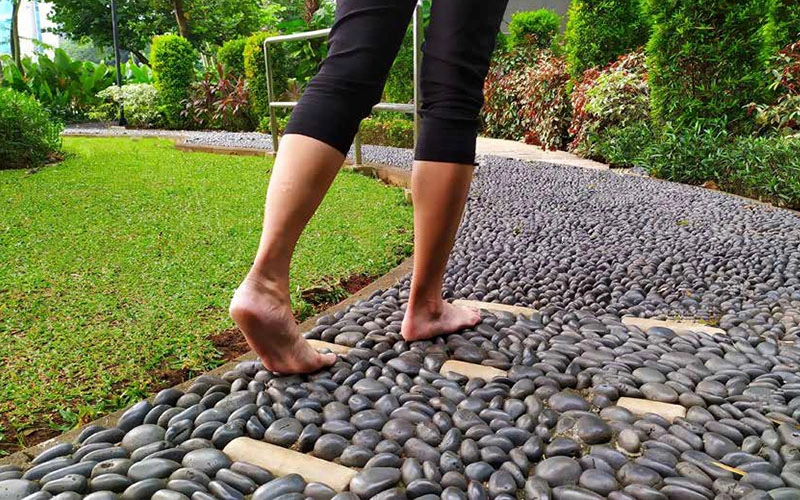 Wellness Zone